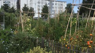 L’agriculture urbaine, devenu un sujet incontournable en quelques années, sera débattue lors des journées des agricultures urbaines (AU) en méditerranée à Marseille les 15 et 16 octobre 2019. © Pascal Fayolle